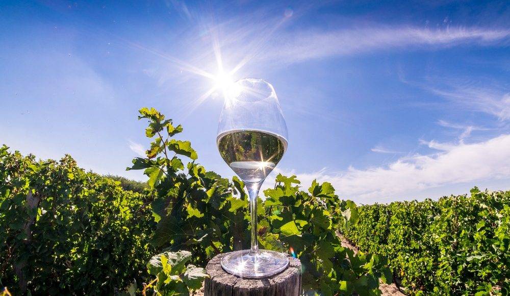 Turismul viticol în România – ce crame poți vizita în Muntenia