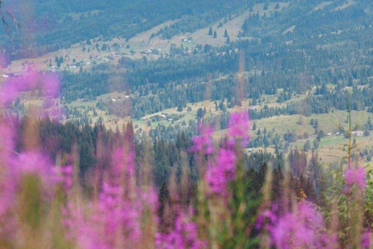 imagine montana din zona Bucovinei, Romania