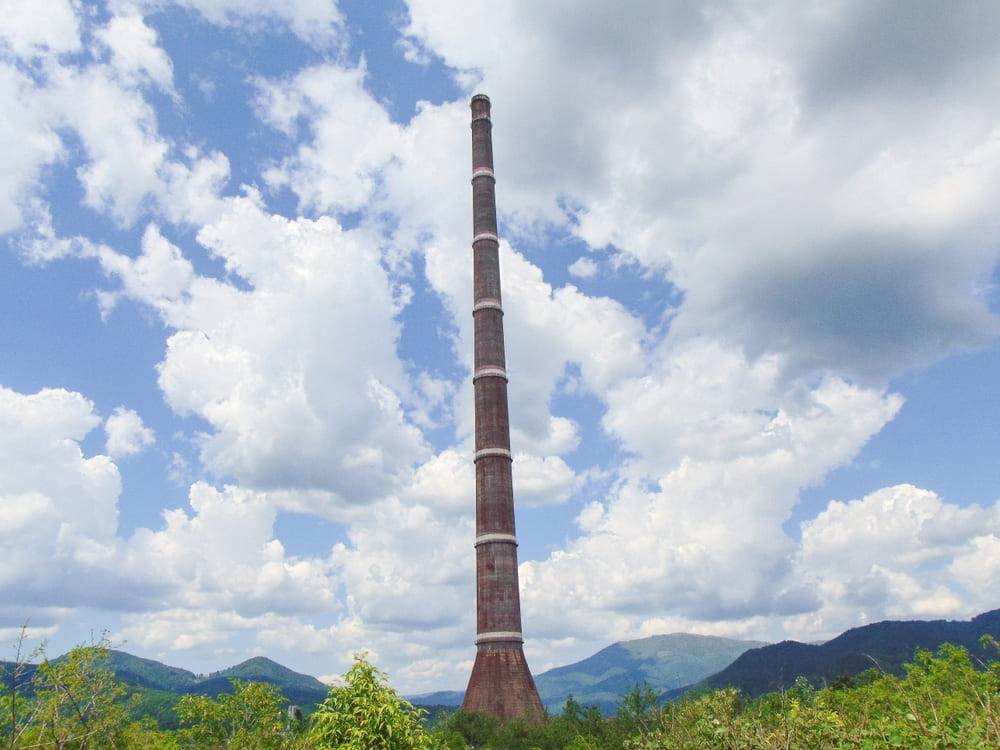 Cosul Phoenix Baia Mare Ferneziu