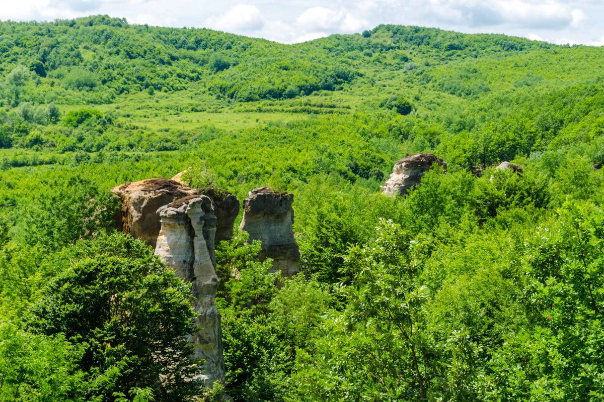 Stanca Dracului, sub forma de ciuperca, in Gradina Zmeilor