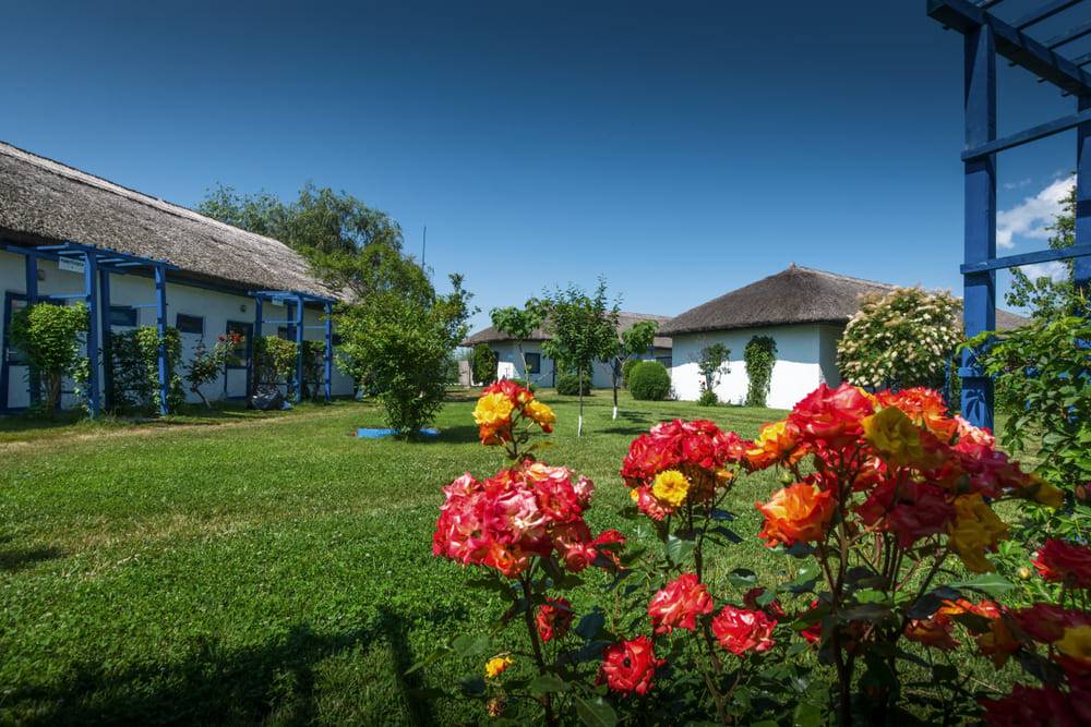 case din satul jurilovca de langa enisala