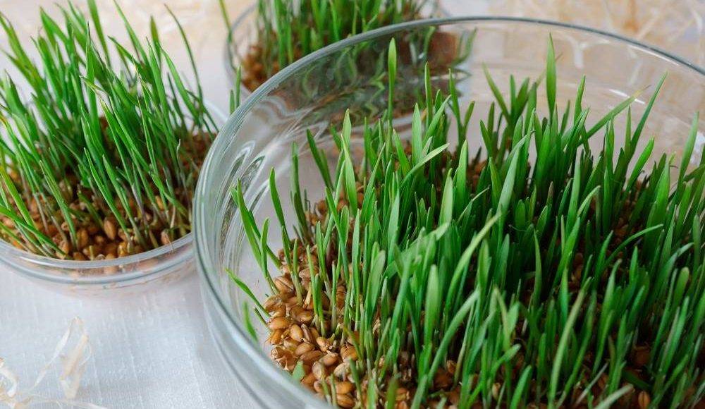 Tradiții și obiceiuri de Sfântul Andrei. Unde mergi în minivacanță