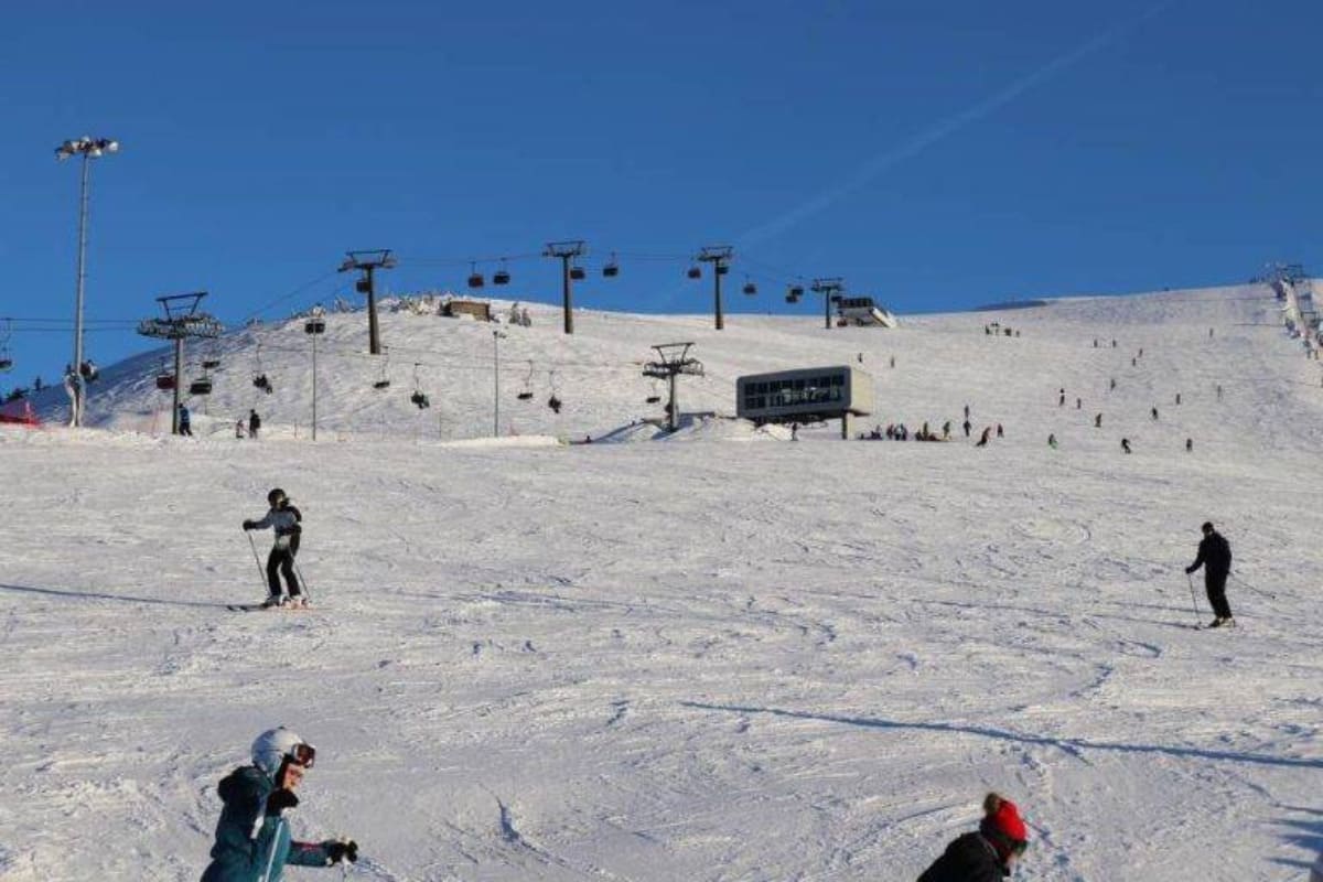 Schori pe partie in Straja, Romania