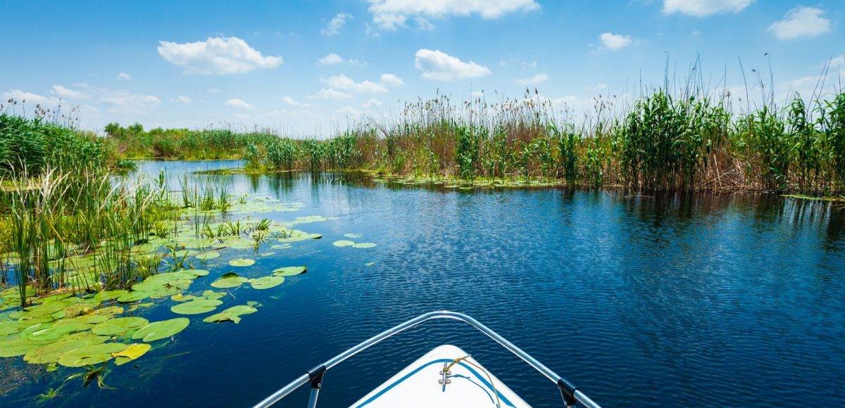 Delta Dunării: curiozități și informații esențiale pentru vizitatori