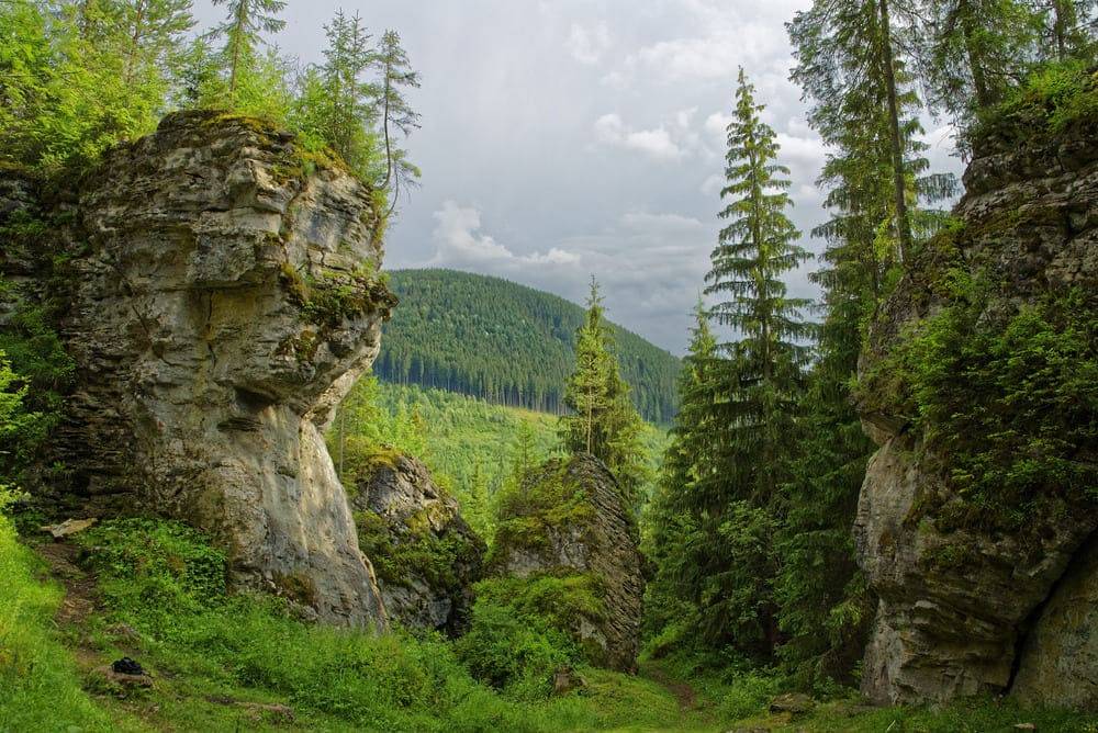 Trasee montane în regiunea Borsec