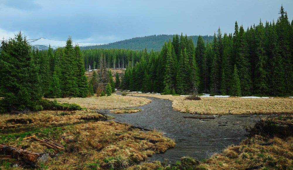 Valea Frumoasei din Sebeș: informații esențiale pentru turiști