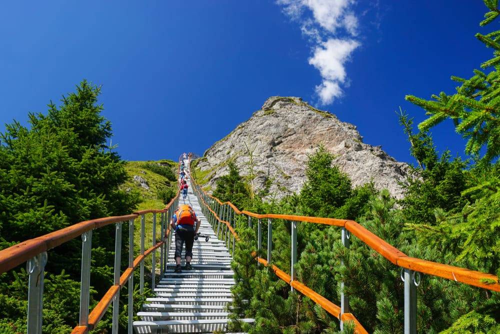 Varful Toaca traseu montan