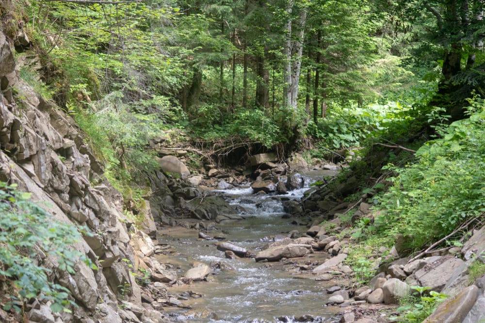padure cascada muntii nemira langa slanic moldova