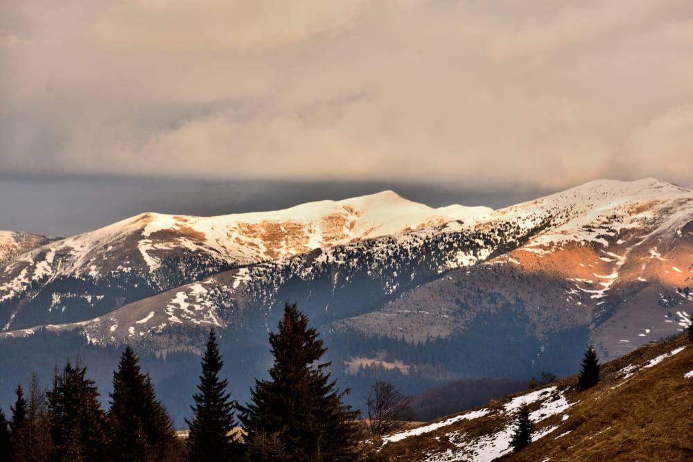 peisaj montan de iarna azuga