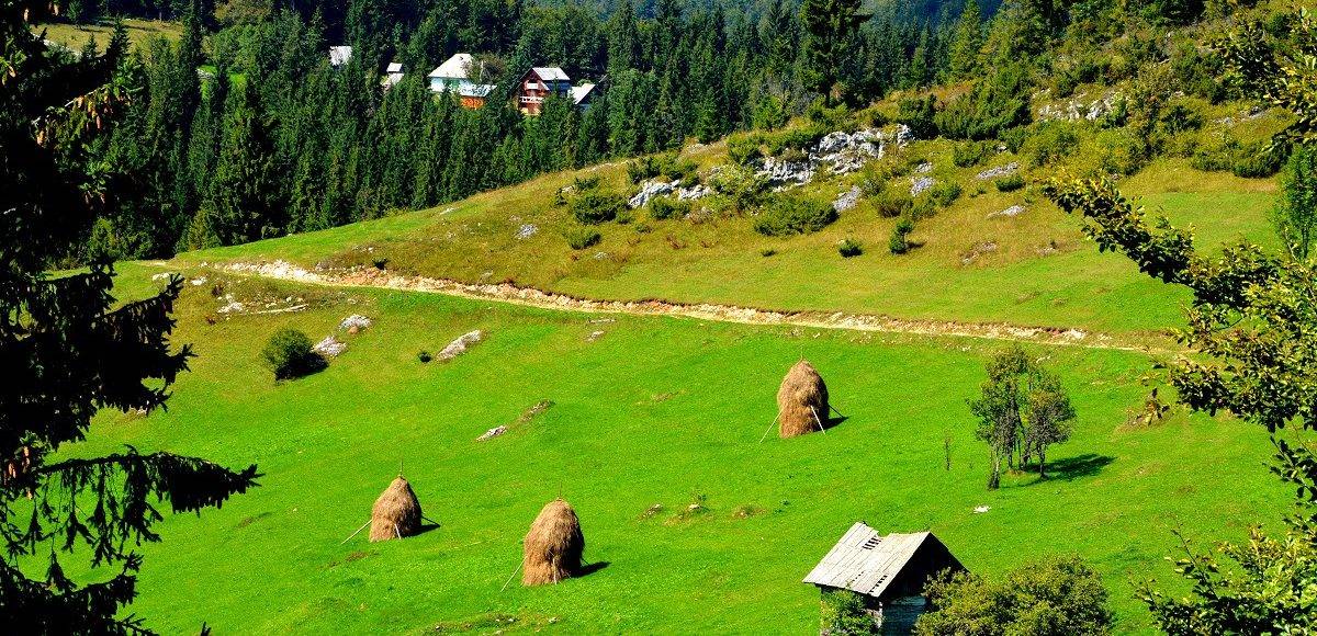 Valea Drăganului: destinația perfectă pentru relaxare și aventură