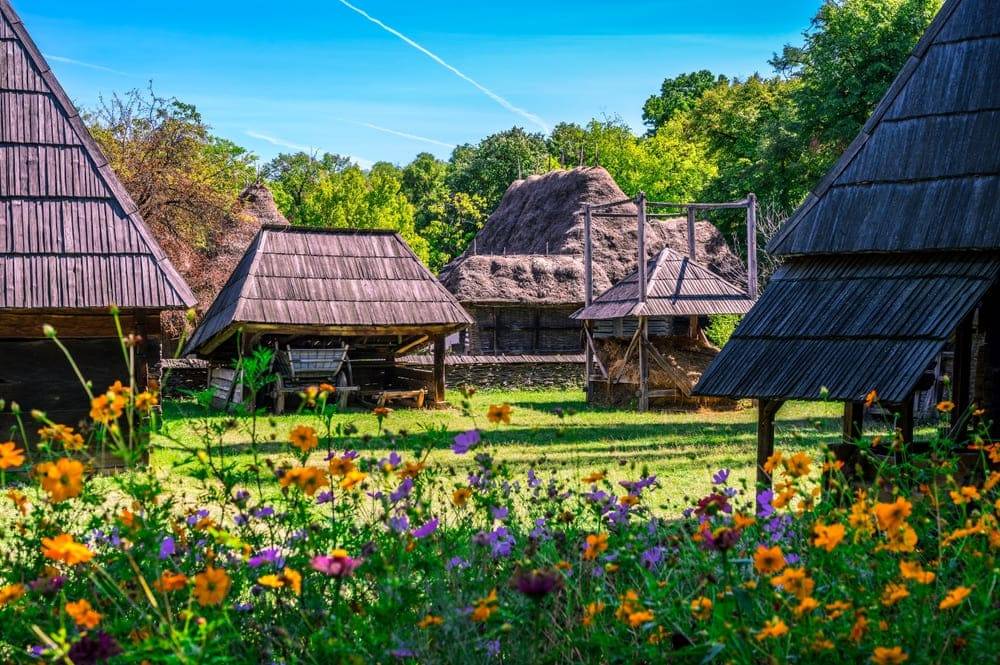 Case traditionale in Muzeul Satului Maramuresean